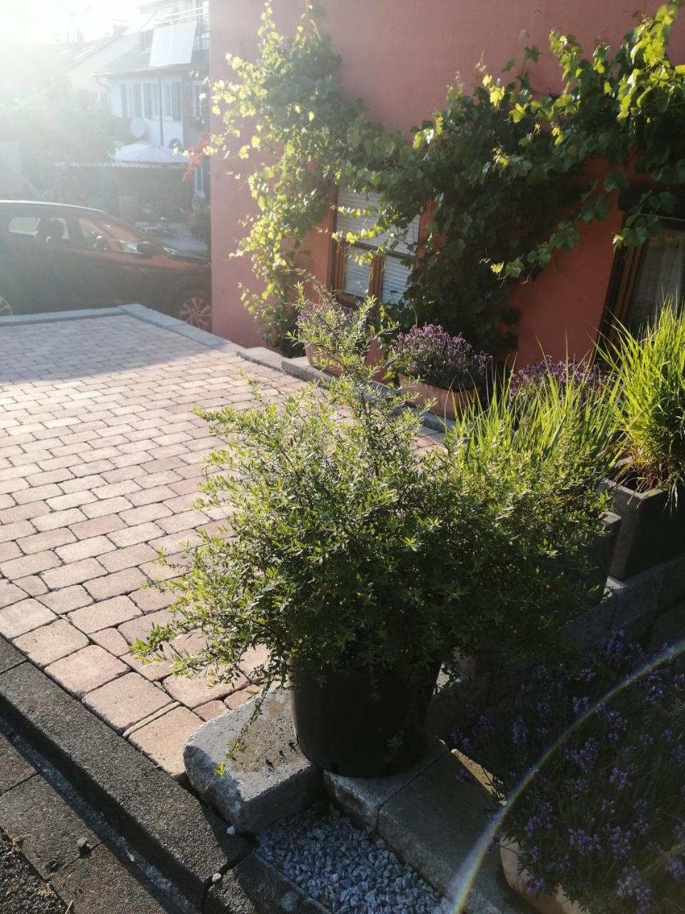 Haus Apartment