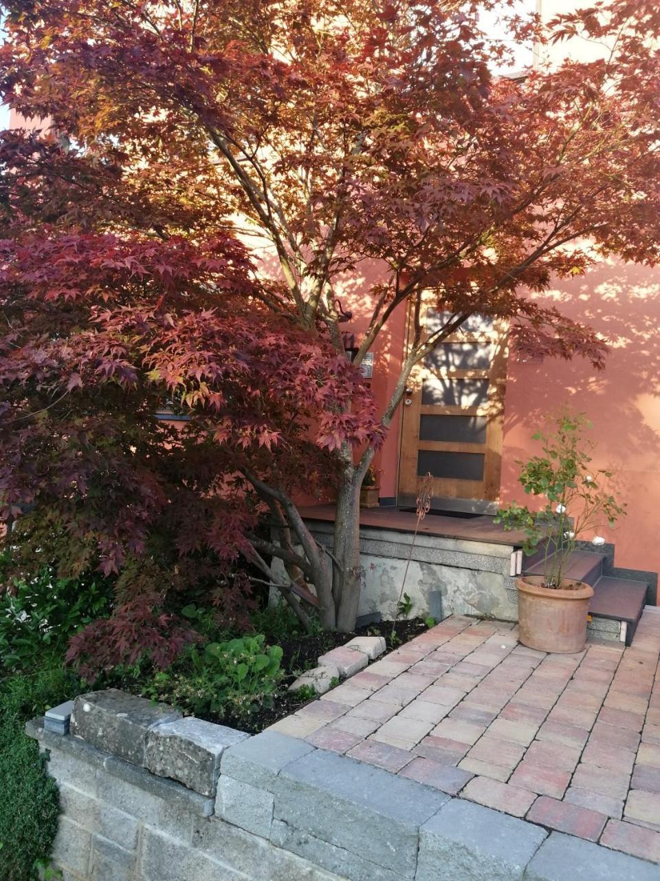 Apartment Haus
